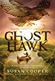 Ghost Hawk  cover art