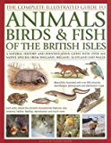 The Complete Illustrated Guide to Animals, Birds and Fish of the British Isles A Natural History And Identification Guide With Over 440 Native Species From England, Ireland, Scotland And Wales  9781846815430 Front Cover