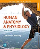 Human Anatomy and Physiology Laboratory Manual Making Connections, Main Version 2nd 9780134746432 Front Cover