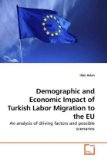 Demographic and Economic Impact of Turkish Labor Migration to the Eu 2010 9783639248432 Front Cover