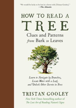 How to Read a Tree Clues and Patterns from Bark to Leaves  9781615199433 Front Cover