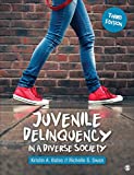 Juvenile Delinquency in a Diverse Society 3rd 9781544375434 Front Cover