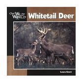Whitetail Deer 2000 9781559717434 Front Cover