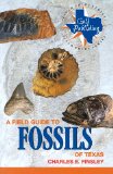 Field Guide to Fossils of Texas 2nd 1999 Revised  9780891230441 Front Cover