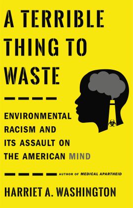 Terrible Thing to Waste Environmental Racism and Its Assault on the American Mind  9780316509442 Front Cover