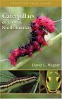 Caterpillars of Eastern North America A Guide to Identification and Natural History