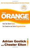 Orange Revolution How One Great Team Can Transform an Entire Organization cover art