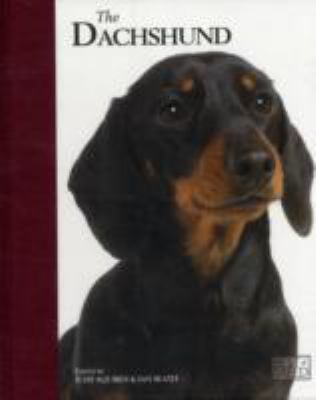 Dachshund 2011 9781906305451 Front Cover
