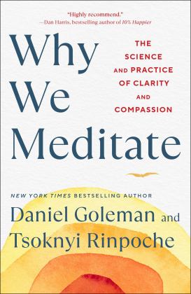 Why We Meditate The Science and Practice of Clarity and Compassion  9781982178451 Front Cover
