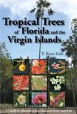 Tropical Trees of Florida and the Virgin Islands A Guide to the Identification, Characteistics and Uses 2009 9781561644452 Front Cover