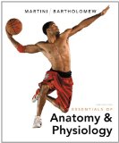 Essentials of Anatomy and Physiology  cover art
