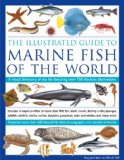 Illustrated Guide to Marine Fish of the World 2009 9781844765454 Front Cover