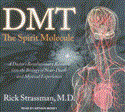Dmt: the Spirit Molecule: A Doctor's Revolutionary Research into the Biology of Near-death and Mystical Experiences Library Edition 2011 9781452631455 Front Cover