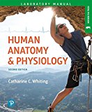 Human Anatomy and Physiology Laboratory Manual Making Connections, Fetal Pig Version 2nd 9780134746456 Front Cover