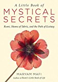 Little Book of Mystical Secrets Rumi, Shams of Tabriz, and the Path of Ecstasy  9781571747457 Front Cover