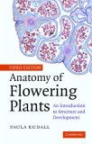 Anatomy of Flowering Plants An Introduction to Structure and Development 3rd 2007 Revised  9780521692458 Front Cover
