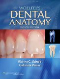 Woelfel's Dental Anatomy Its Relevance to Dentistry cover art
