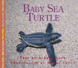Baby Sea Turtle 2007 9781550417463 Front Cover