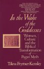 In the Wake of the Goddesses Women, Culture and the Biblical Transformation of Pagan Myth cover art