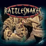 Rattlesnakes 2009 9780824951467 Front Cover