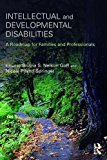 Intellectual and Developmental Disabilities A Roadmap for Families and Professionals  9781138672468 Front Cover