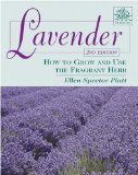 Lavender How to Grow and Use the Fragrant Herb 2nd 2009 9780811735469 Front Cover