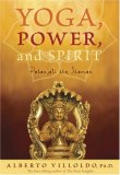 Yoga, Power, and Spirit Patanjali the Shaman  9781401910471 Front Cover
