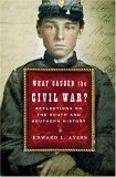What Caused the Civil War? Reflections on the South and Southern History 2005 9780393059472 Front Cover