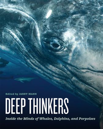 Deep Thinkers Inside the Minds of Whales, Dolphins, and Porpoises  9780226387475 Front Cover