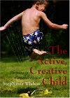 Active/Creative Child Parenting in Perpetual Motion 2005 9781890772475 Front Cover