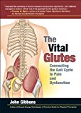 Vital Glutes Connecting the Gait Cycle to Pain and Dysfunction 2014 9781583948477 Front Cover