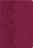KJV Ultraslim Bible 2012 9781401675479 Front Cover