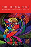 Hebrew Bible Feminist and Intersectional Perspectives  9781506425481 Front Cover