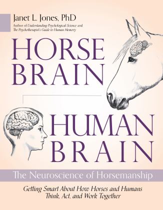 Horse Brain, Human Brain The Neuroscience of Horsemanship  9781570769481 Front Cover