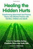 Healing the Hidden Hurts Transforming Attachment and Trauma Theory into Effective Practice with Families, Children and Adults  9781849055482 Front Cover