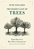 Hidden Life of Trees What They Feel, How They Communicate--Discoveries from a Secret World