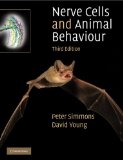 Nerve Cells and Animal Behaviour  cover art
