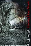 Casting Deep Shade An Amble  9781556595486 Front Cover