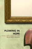 Plowing in Hope Toward a Biblical Theology of Culture cover art