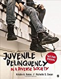 Juvenile Delinquency in a Diverse Society  cover art