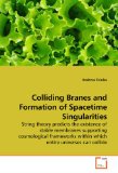 Colliding Branes and Formation of Spacetime Singularities 2009 9783639175493 Front Cover