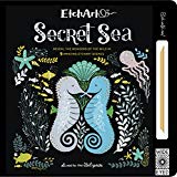 Etchart: Secret Sea  9781786030498 Front Cover