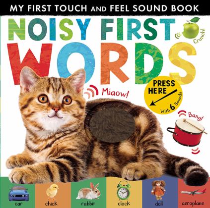 Noisy First Words My First Touch and Feel Sound Book  9781848698499 Front Cover