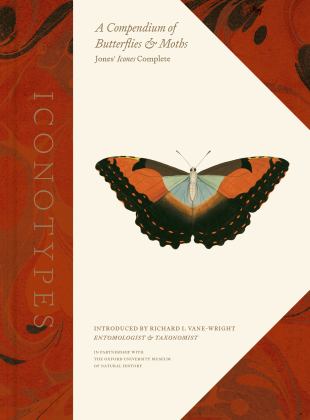 Iconotypes A Compendium of Butterflies and Moths, Jones' Icones Complete 2021 9780520386501 Front Cover