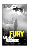 Fury A Novel cover art