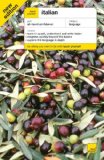 Teach Yourself Italian 5th 9780071502504 Front Cover