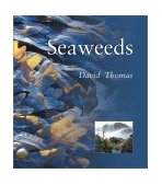 Seaweeds 2002 9781588340504 Front Cover