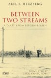 Between Two Streams A Diary from Bergen-Belsen  9781845117504 Front Cover
