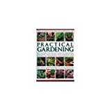 Successful Gardening  9781840384505 Front Cover