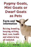Pygmy Goats As Pets, Pygmy Goats, Mini Goats or Dwarf Goats: Facts and Information. Raising, Breeding, Keeping, Milking, Food, Care, Health and Where